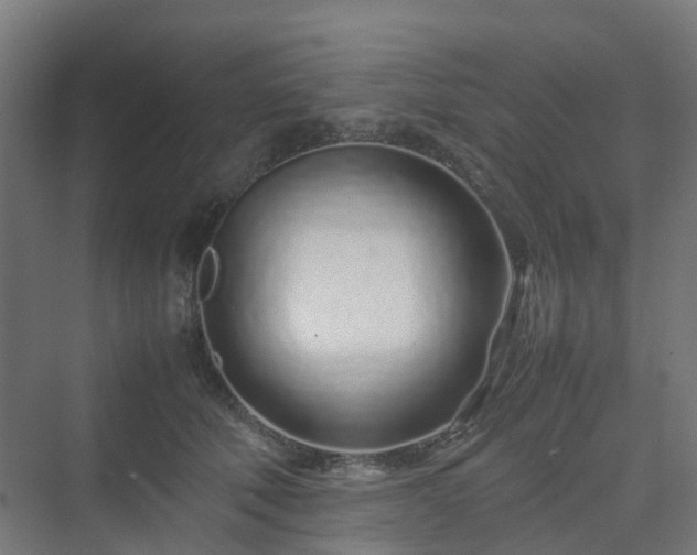 X0000070230610200606021349