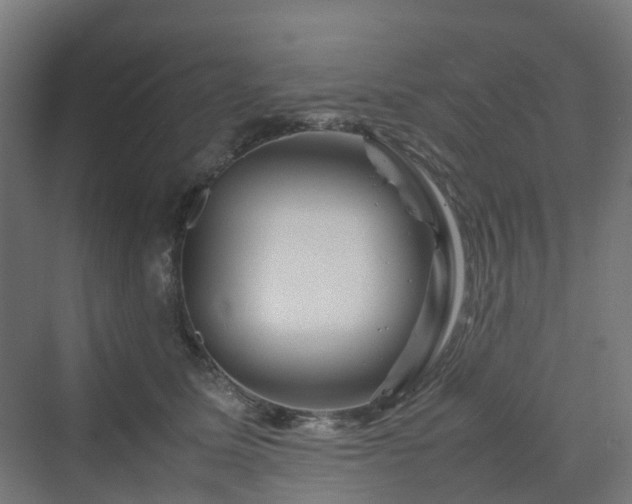 X0000070230611200606021349