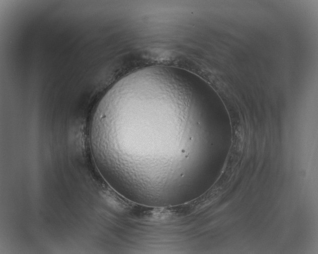 X0000070230612200606021349