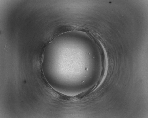 X0000070230613200606021349