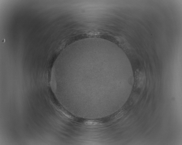 X0000070230614200606021349