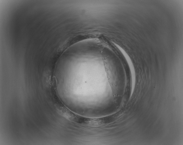 X0000070230615200606021349