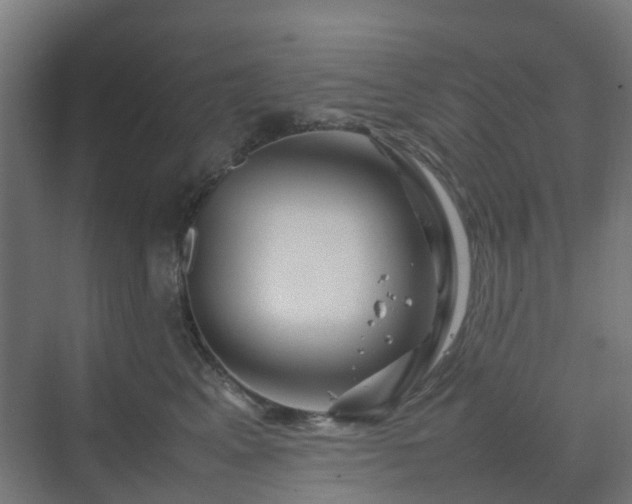 X0000070230617200606021349