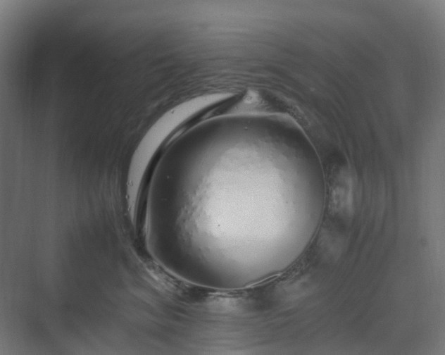 X0000070230620200606021349