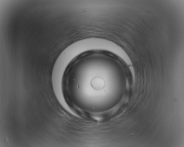 X0000070230621200606021349