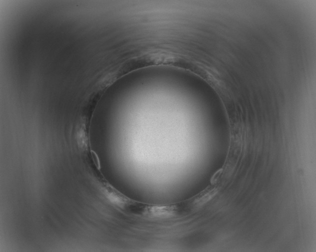 X0000070230622200606021349