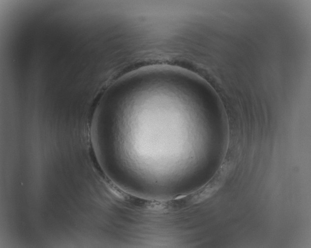 X0000070230624200606021349