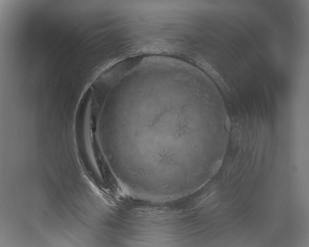 X0000070230626200606021348