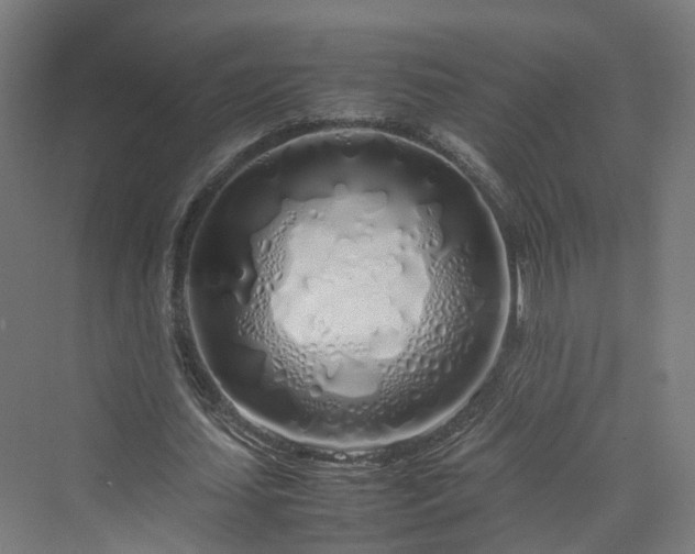 X0000070230627200606021348