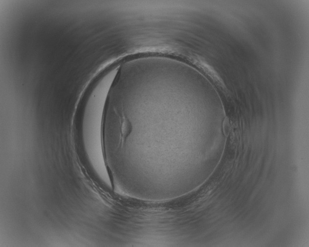 X0000070230628200606021348