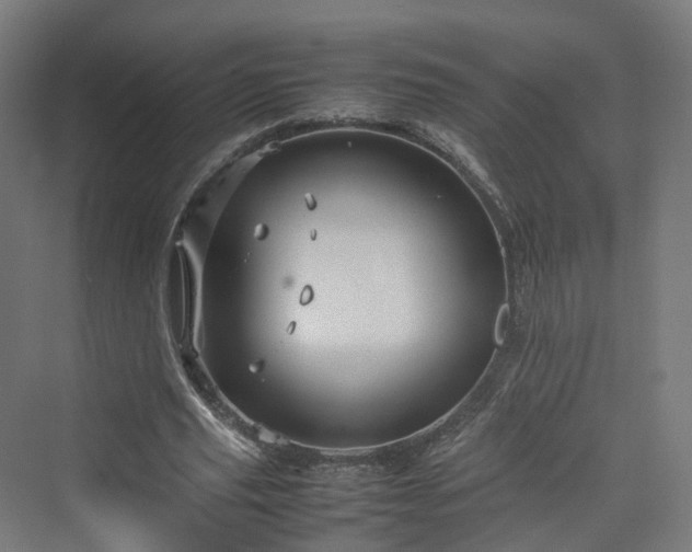 X0000070230629200606021348