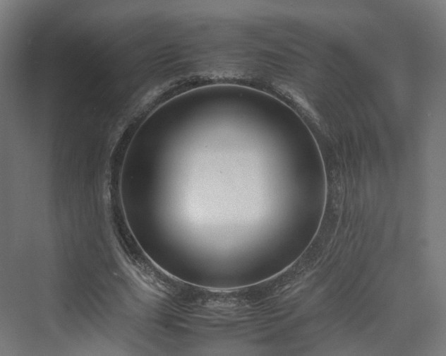 X0000070230631200606021348