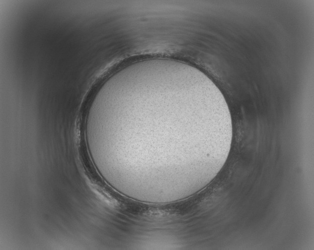 X0000070230632200606021348