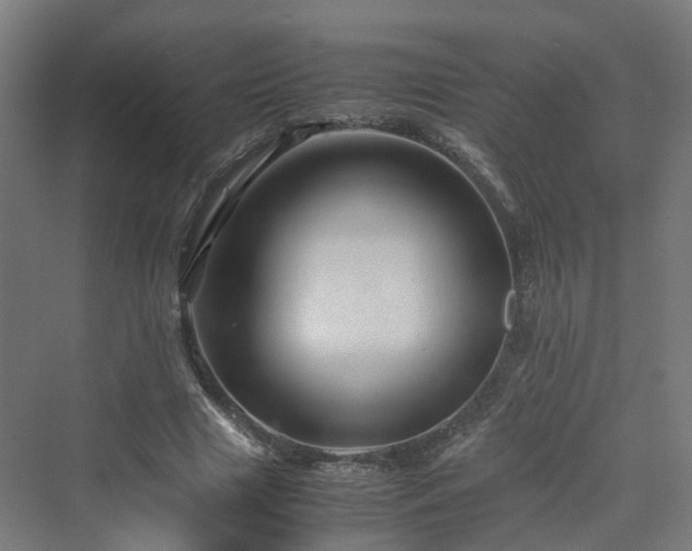 X0000070230633200606021348