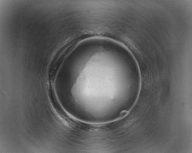 X0000070230634200606021348