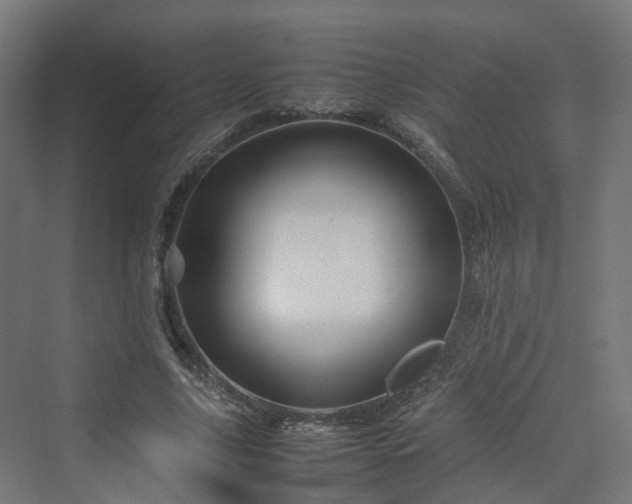 X0000070230635200606021348