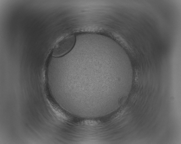 X0000070230636200606021348