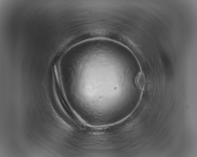 X0000070230637200606021348