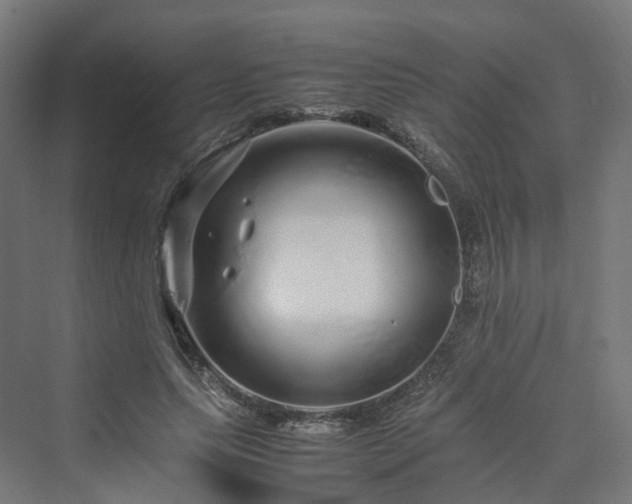 X0000070230639200606021348