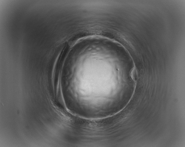 X0000070230641200606021348