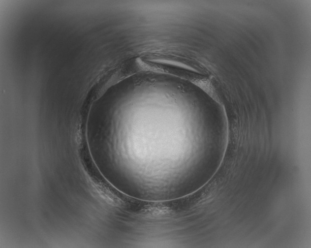 X0000070230642200606021348