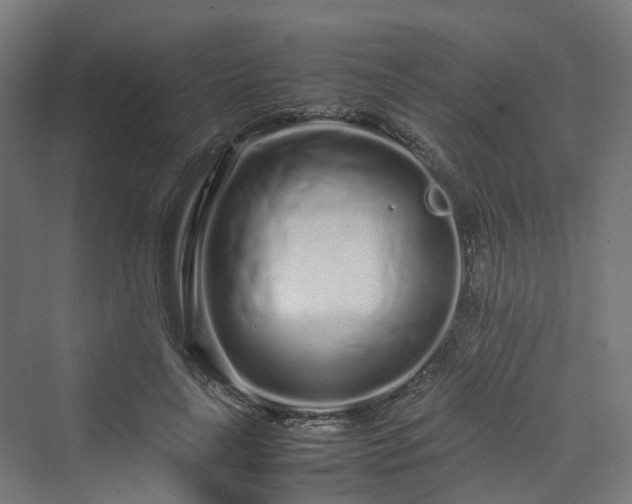 X0000070230643200606021348