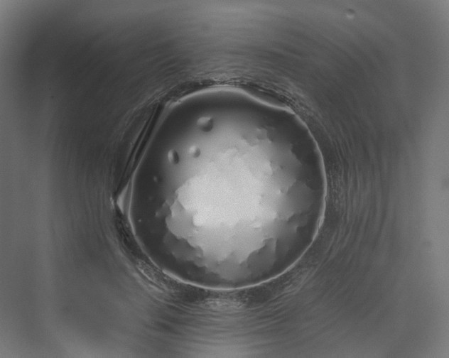 X0000070230644200606021348