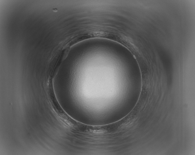 X0000070230645200606021348