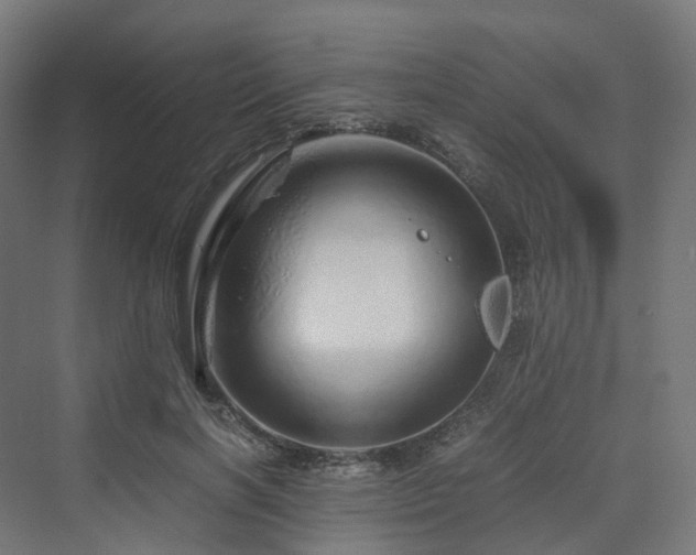 X0000070230646200606021348