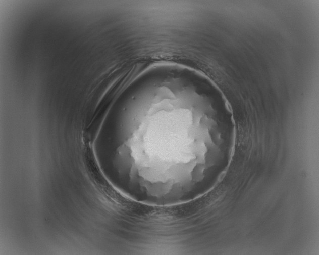 X0000070230648200606021348