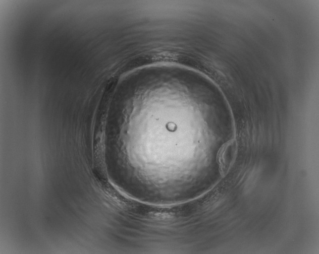 X0000070230649200606021348