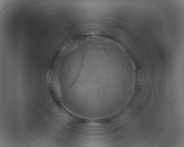 X0000070230650200606021348