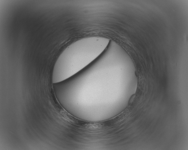 X0000070230652200606021348