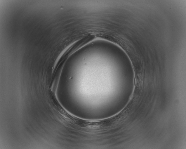 X0000070230653200606021348