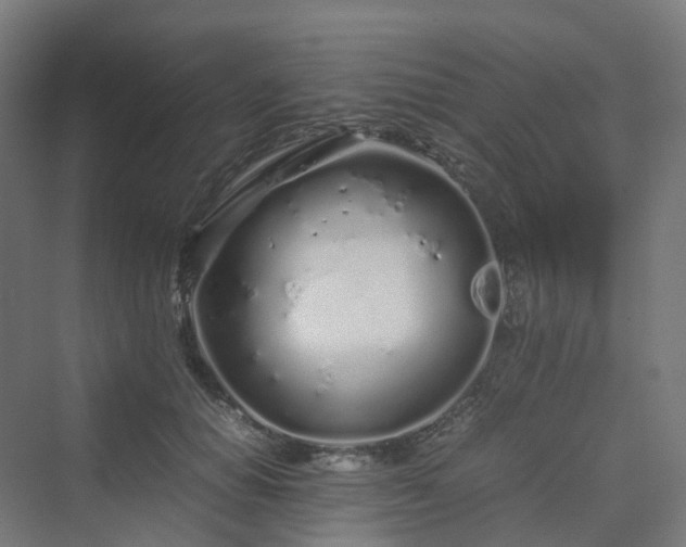 X0000070230654200606021348