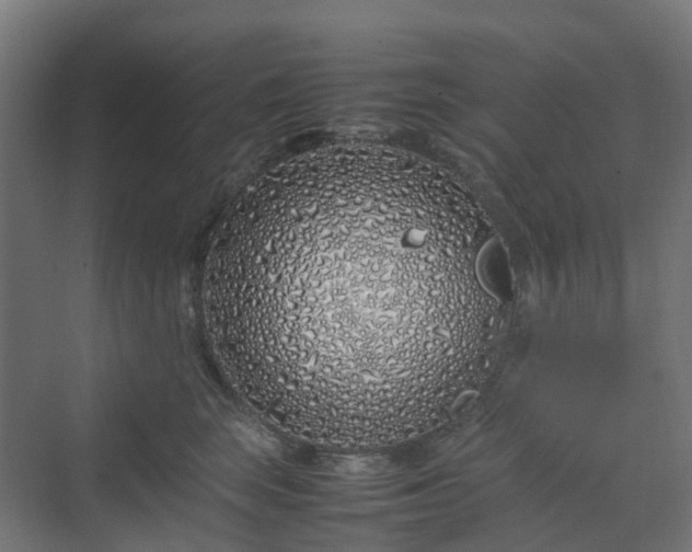 X0000070230663200606021348