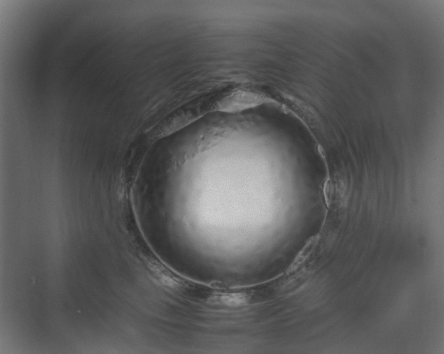 X0000070230665200606021349