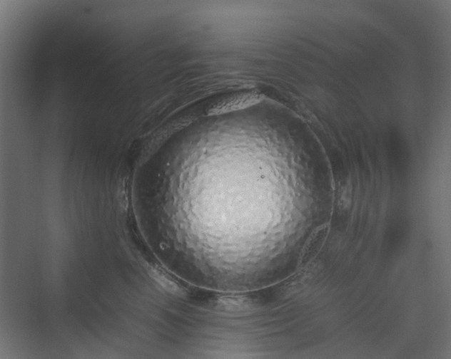 X0000070230666200606021349