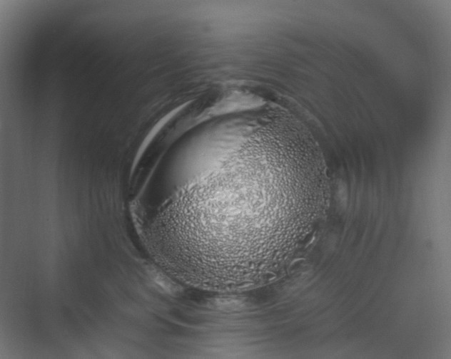 X0000070230668200606021349