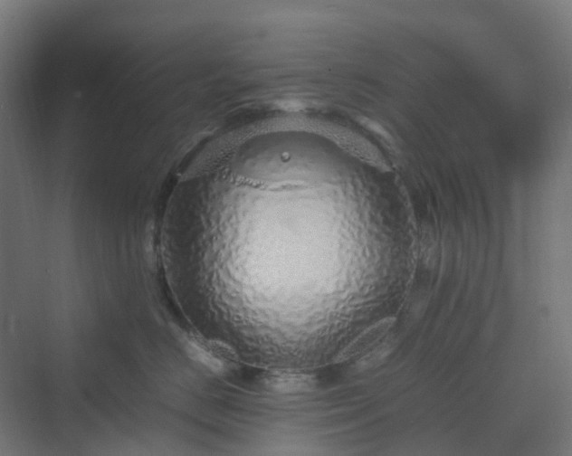 X0000070230670200606021349