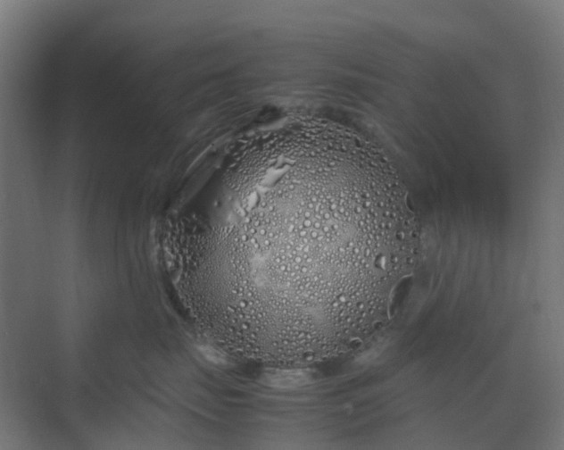 X0000070230671200606021349