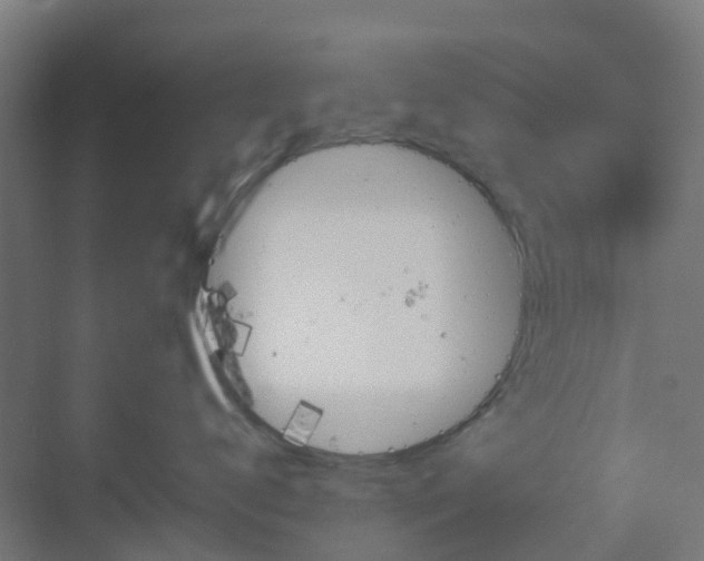 X0000070230672200606021349