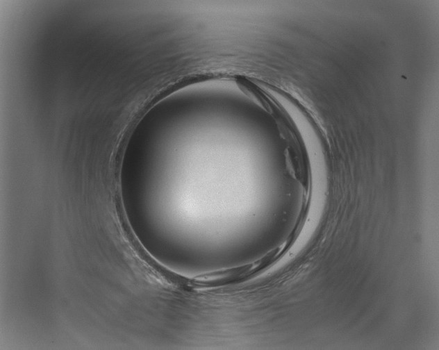 X0000070230673200606021348