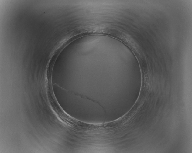 X0000070230674200606021348