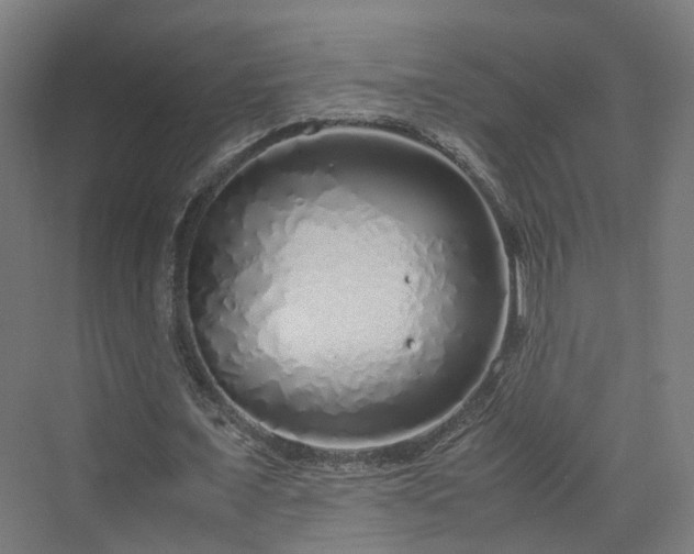 X0000070230675200606021348