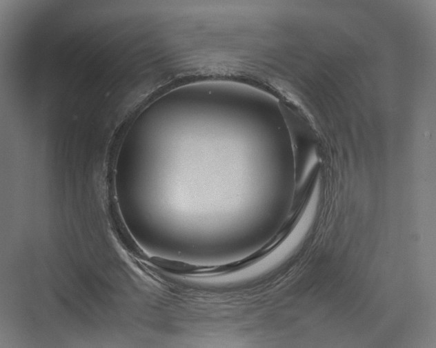 X0000070230677200606021348