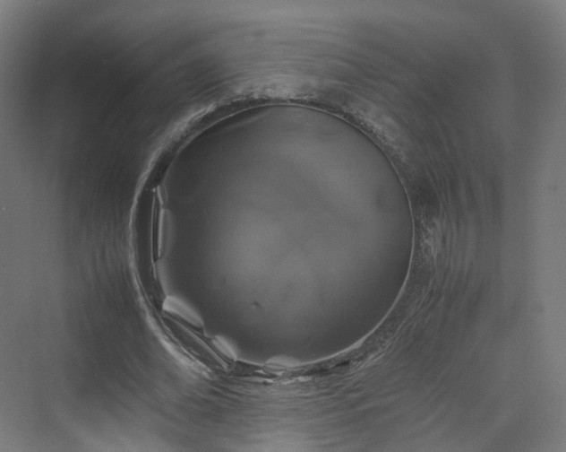 X0000070230678200606021348