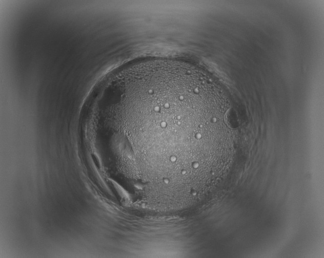 X0000070230679200606021348