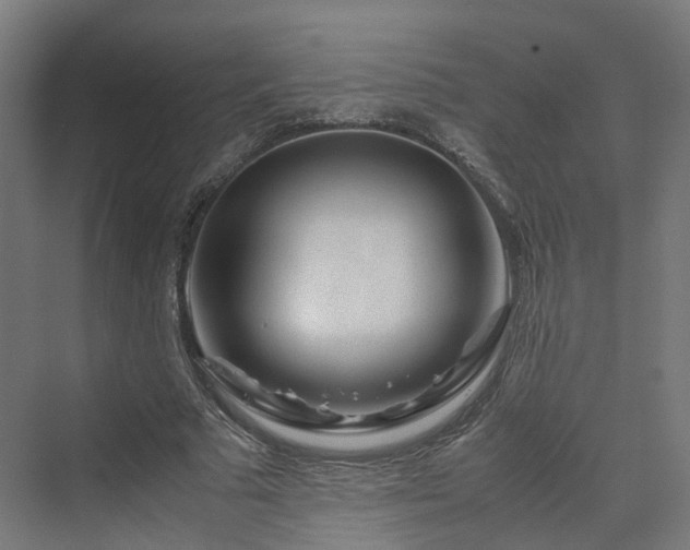 X0000070230681200606021348