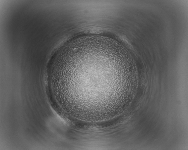 X0000070230683200606021348